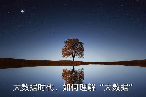 大數(shù)據(jù)時(shí)代，如何理解“大數(shù)據(jù)”