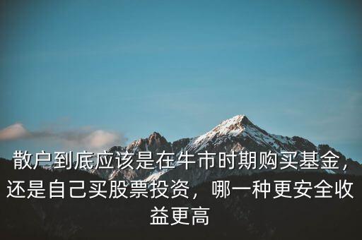 散戶到底應(yīng)該是在牛市時期購買基金，還是自己買股票投資，哪一種更安全收益更高
