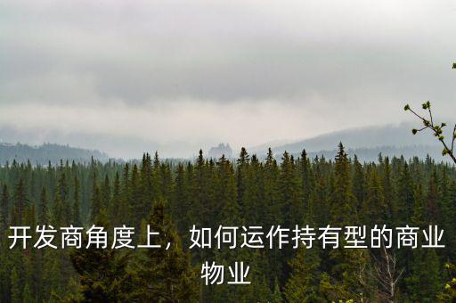 開發(fā)商角度上，如何運(yùn)作持有型的商業(yè)物業(yè)