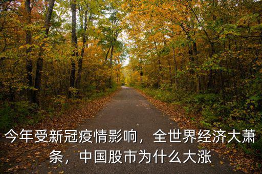 今年受新冠疫情影響，全世界經(jīng)濟(jì)大蕭條，中國(guó)股市為什么大漲