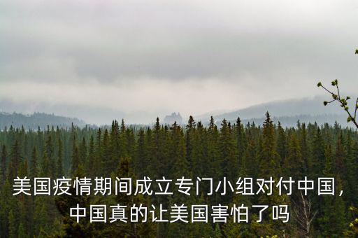 美國(guó)疫情期間成立專門小組對(duì)付中國(guó)，中國(guó)真的讓美國(guó)害怕了嗎