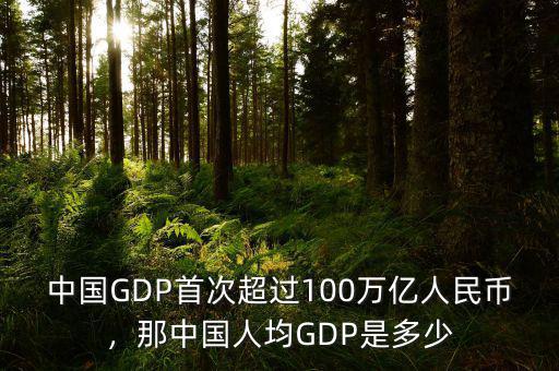 中國(guó)GDP首次超過100萬(wàn)億人民幣，那中國(guó)人均GDP是多少