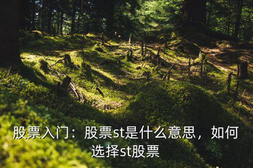 股票入門(mén)：股票st是什么意思，如何選擇st股票