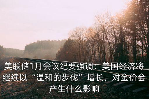 美聯(lián)儲1月會議紀(jì)要強(qiáng)調(diào)：美國經(jīng)濟(jì)將繼續(xù)以“溫和的步伐”增長，對金價(jià)會產(chǎn)生什么影響