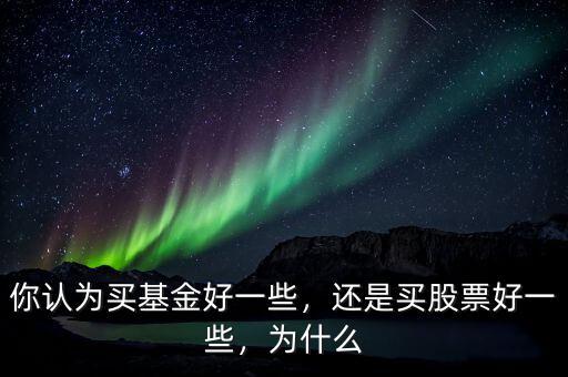你認(rèn)為買基金好一些，還是買股票好一些，為什么