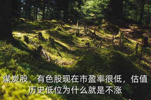 煤炭股、有色股現(xiàn)在市盈率很低，估值歷史低位為什么就是不漲