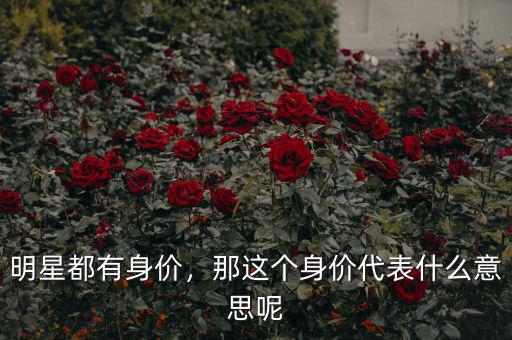 明星都有身價，那這個身價代表什么意思呢