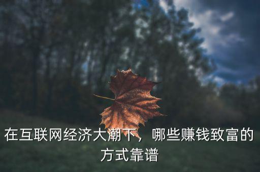 互聯(lián)網經濟怎么賺錢,互聯(lián)網創(chuàng)業(yè)靠什么賺錢