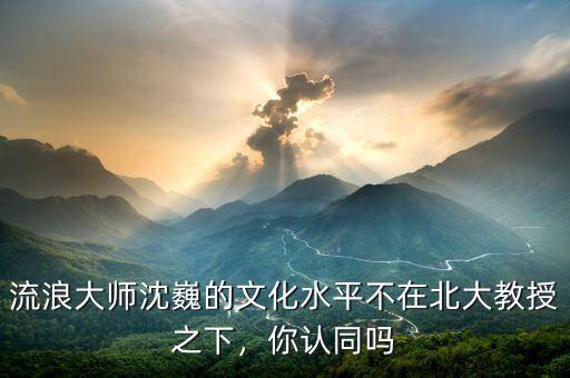 流浪大師沈巍的文化水平不在北大教授之下，你認同嗎