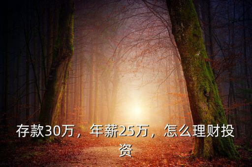 存款30萬，年薪25萬，怎么理財(cái)投資