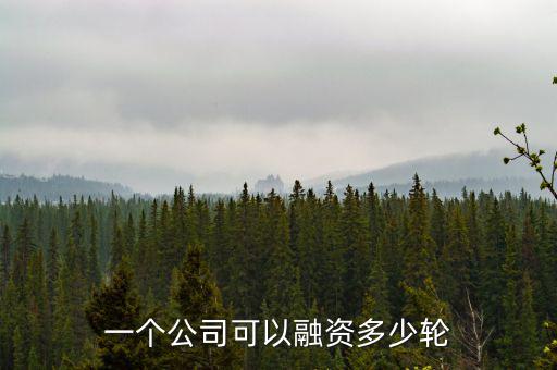 慈銘體檢第一輪融資讓出了多少股份,一個(gè)公司可以融資多少輪