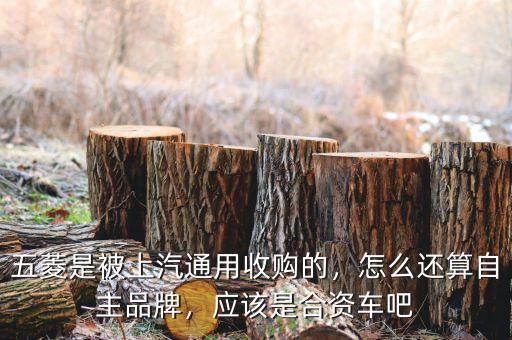 五菱是被上汽通用收購(gòu)的，怎么還算自主品牌，應(yīng)該是合資車吧