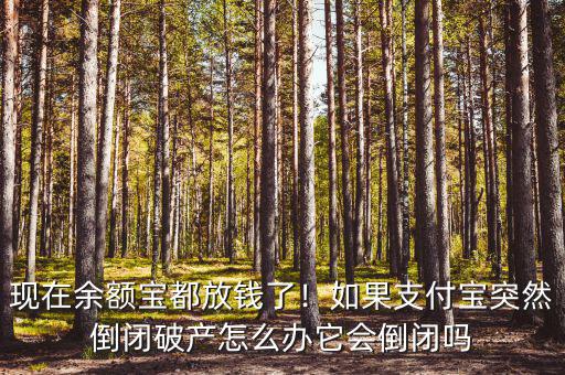 現(xiàn)在余額寶都放錢了！如果支付寶突然倒閉破產(chǎn)怎么辦它會(huì)倒閉嗎