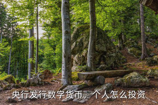 央行發(fā)行數(shù)字貨幣，個人怎么投資