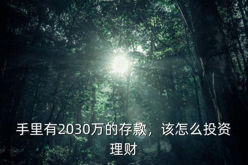 手里有2030萬的存款，該怎么投資理財