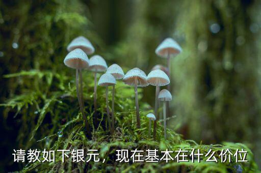 請(qǐng)教如下銀元，現(xiàn)在基本在什么價(jià)位