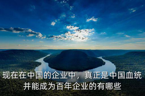 現(xiàn)在在中國(guó)的企業(yè)中，真正是中國(guó)血統(tǒng)并能成為百年企業(yè)的有哪些
