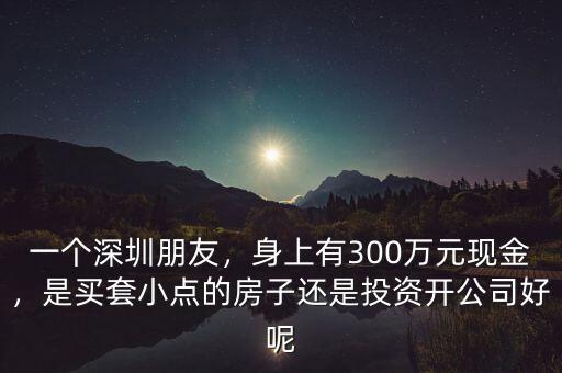 一個(gè)深圳朋友，身上有300萬元現(xiàn)金，是買套小點(diǎn)的房子還是投資開公司好呢