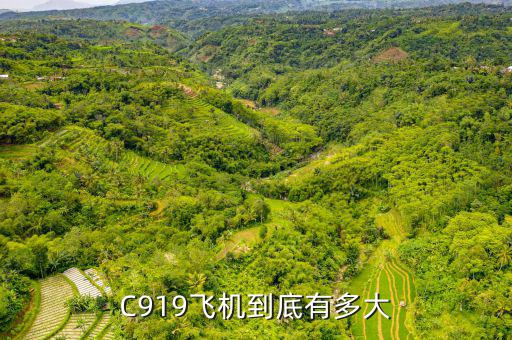 c919大飛機要多少錢一架,國產大飛機難道不可以買嗎