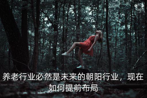 養(yǎng)老行業(yè)必然是未來的朝陽行業(yè)，現(xiàn)在如何提前布局