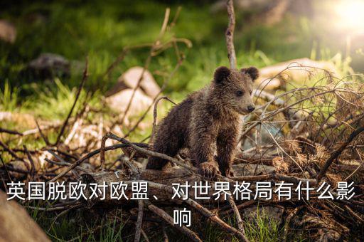 英國推出歐盟有對(duì)中國有什么影響,對(duì)世界格局有什么影響