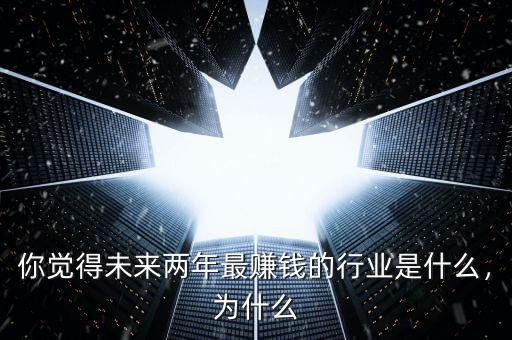 你覺得未來兩年最賺錢的行業(yè)是什么，為什么