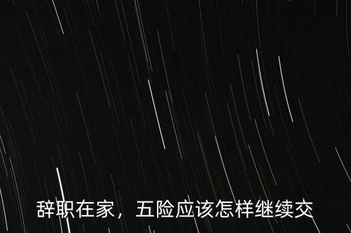 辭職在家，五險(xiǎn)應(yīng)該怎樣繼續(xù)交