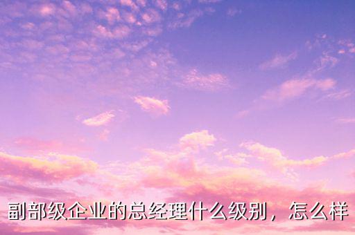 副部級企業(yè)的總經(jīng)理什么級別，怎么樣