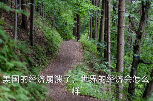 美國(guó)的經(jīng)濟(jì)崩潰了，世界的經(jīng)濟(jì)會(huì)怎么樣