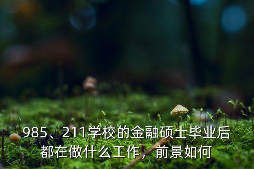 985、211學(xué)校的金融碩士畢業(yè)后都在做什么工作，前景如何