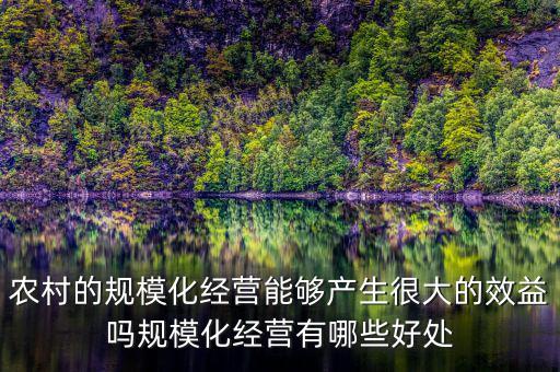 農(nóng)村的規(guī)?；?jīng)營能夠產(chǎn)生很大的效益嗎規(guī)?；?jīng)營有哪些好處
