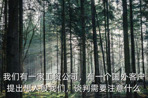 我們有一家工貿公司，有一個國外客戶提出想入股我們，談判需要注意什么