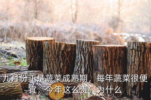 九月份正是蔬菜成熟期，每年蔬菜很便宜，今年這么貴，為什么