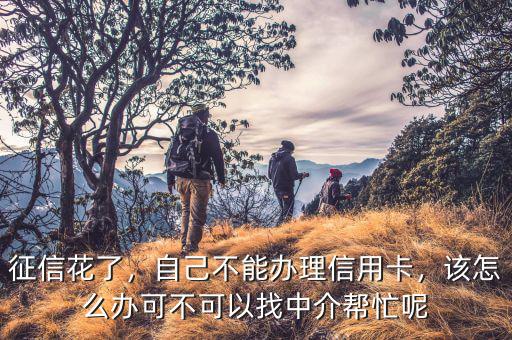 征信花了，自己不能辦理信用卡，該怎么辦可不可以找中介幫忙呢