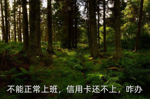 不能正常上班，信用卡還不上，咋辦