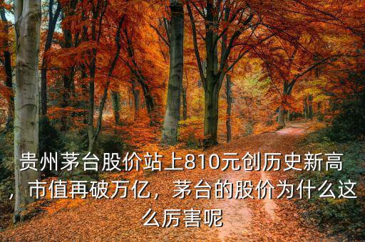 貴州茅臺(tái)股價(jià)站上810元?jiǎng)?chuàng)歷史新高，市值再破萬(wàn)億，茅臺(tái)的股價(jià)為什么這么厲害呢