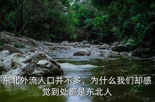 東北外流人口并不多，為什么我們卻感覺(jué)到處都是東北人