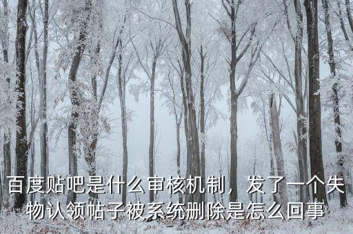 百度貼吧是什么審核機(jī)制，發(fā)了一個(gè)失物認(rèn)領(lǐng)帖子被系統(tǒng)刪除是怎么回事