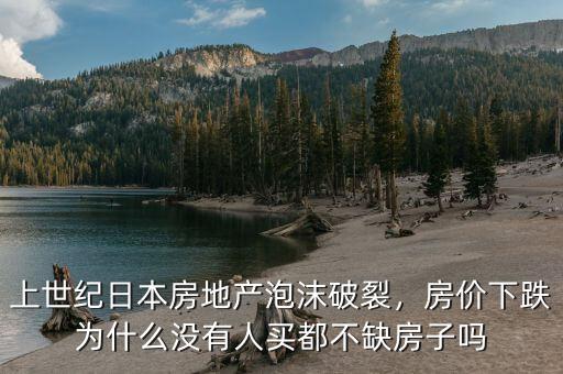 上世紀(jì)日本房地產(chǎn)泡沫破裂，房?jī)r(jià)下跌為什么沒有人買都不缺房子嗎