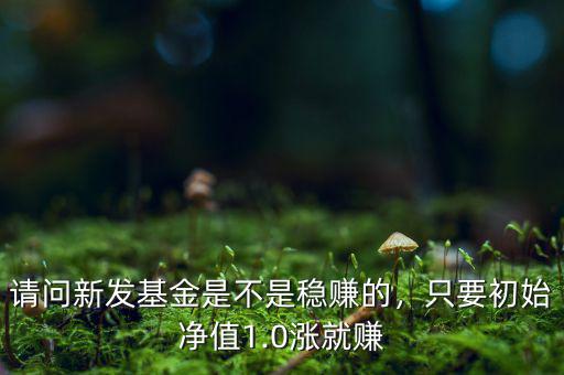 請(qǐng)問新發(fā)基金是不是穩(wěn)賺的，只要初始凈值1.0漲就賺