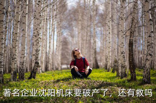 著名企業(yè)沈陽機床要破產(chǎn)了，還有救嗎