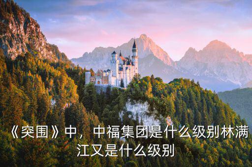 《突圍》中，中福集團(tuán)是什么級(jí)別林滿江又是什么級(jí)別