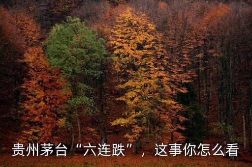 貴州茅臺(tái)“六連跌”，這事你怎么看