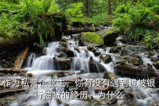 作為私營企業(yè)主，你有沒有遇到過被銀行抽貸的經(jīng)歷，為什么