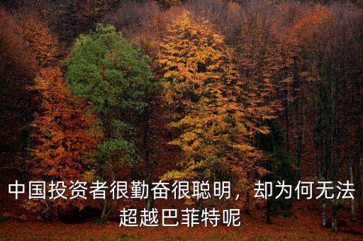 中國投資者很勤奮很聰明，卻為何無法超越巴菲特呢