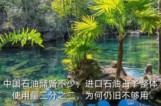 中國石油儲備不少，進(jìn)口石油占了整體使用量三分之二，為何仍舊不夠用