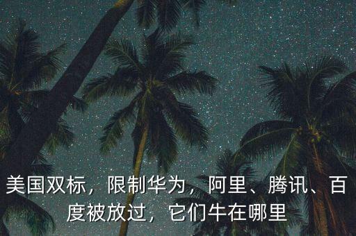 美國(guó)雙標(biāo)，限制華為，阿里、騰訊、百度被放過(guò)，它們牛在哪里