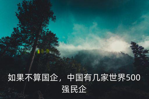如果不算國企，中國有幾家世界500強民企