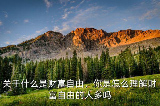 關(guān)于什么是財(cái)富自由，你是怎么理解財(cái)富自由的人多嗎