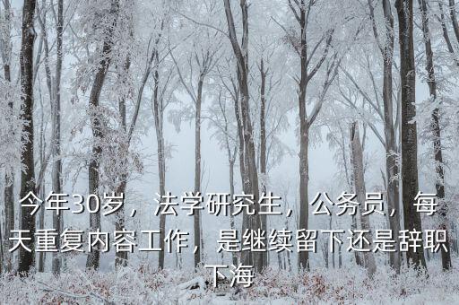 今年30歲，法學(xué)研究生，公務(wù)員，每天重復(fù)內(nèi)容工作，是繼續(xù)留下還是辭職下海